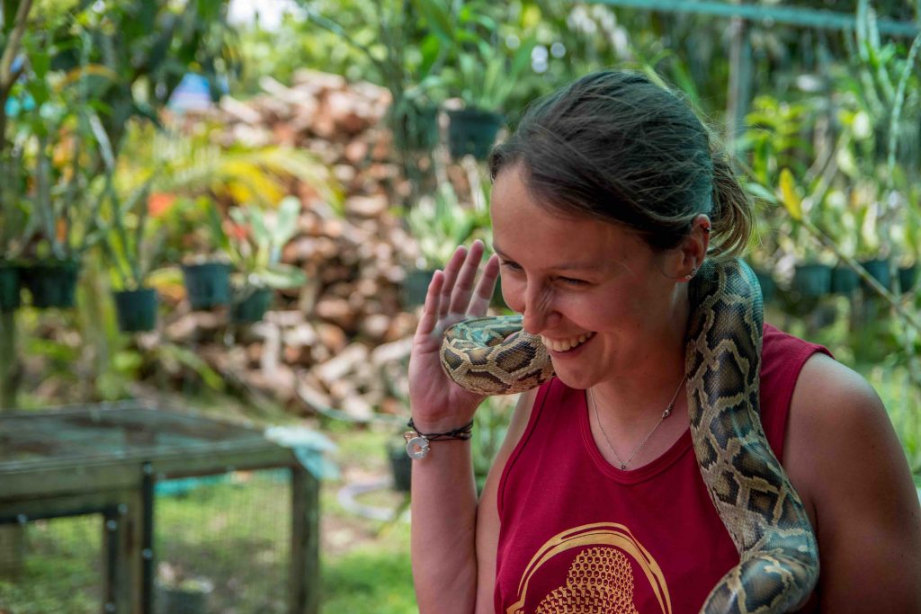 rencontre avec un serpent dans le delta du Mékong au Vietnam