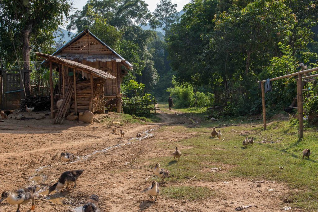 return of the last traditional village next to Muong no