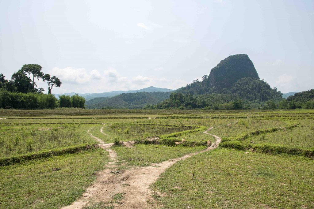 balade dans les rizières à côté de Muong Ngoi