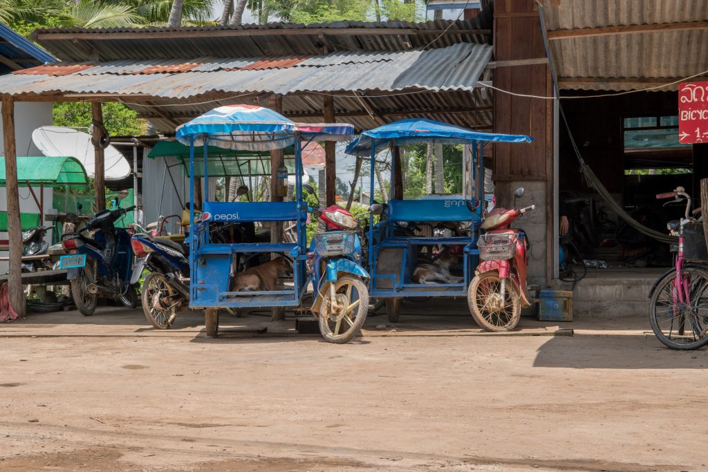 two pups resting in the shade in the tuk tuk on the island of Don Khon in Laos