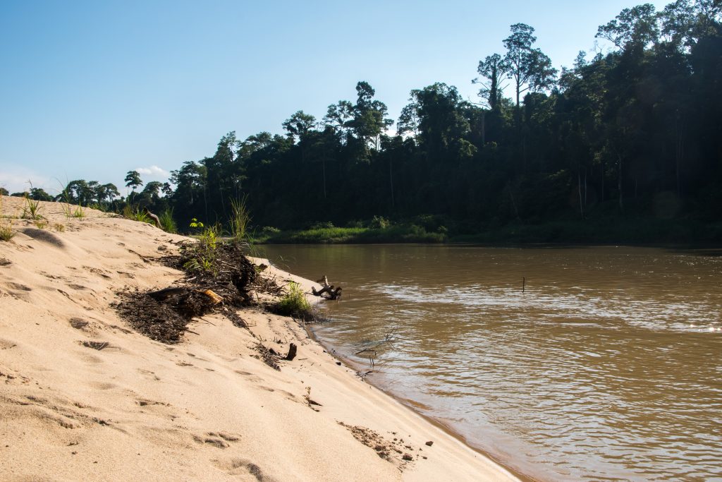 River that separates the village from Kuala Tahan and Taman Negara in Malaysia jungle