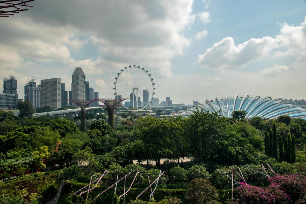 View from the Supertree grove in the Gardens by the Bay in Singapore