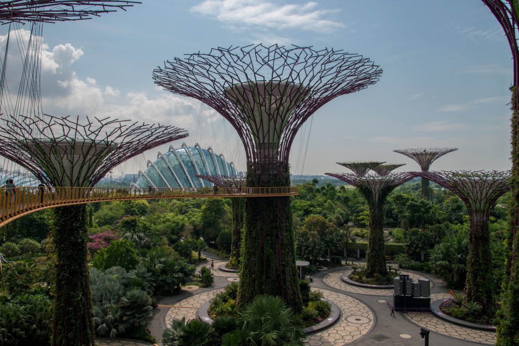 Supertree Grove in Gardens by the Bay in Singapore