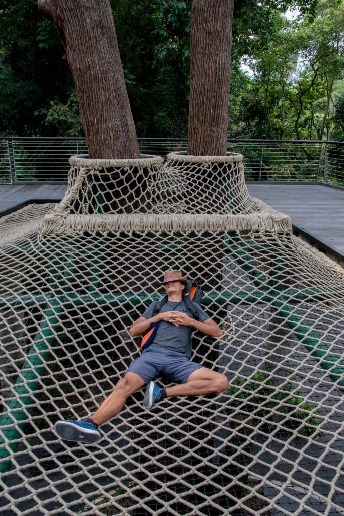 Siest pour Monsieur dans la canopée dans le jardin botanique de Singapour