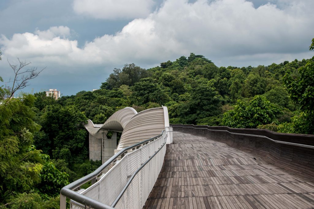Walk of the Henderson Waves to Singapore