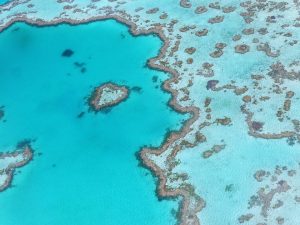 grande barrière de corail australie