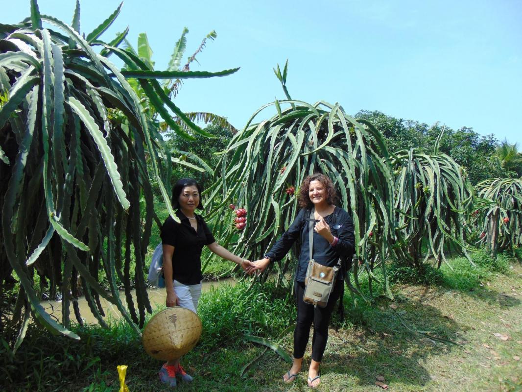 Nathalie en voyage au Vietnam - Blog Voyage au bout du monde