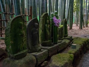 jardin bambou kokoku-ji