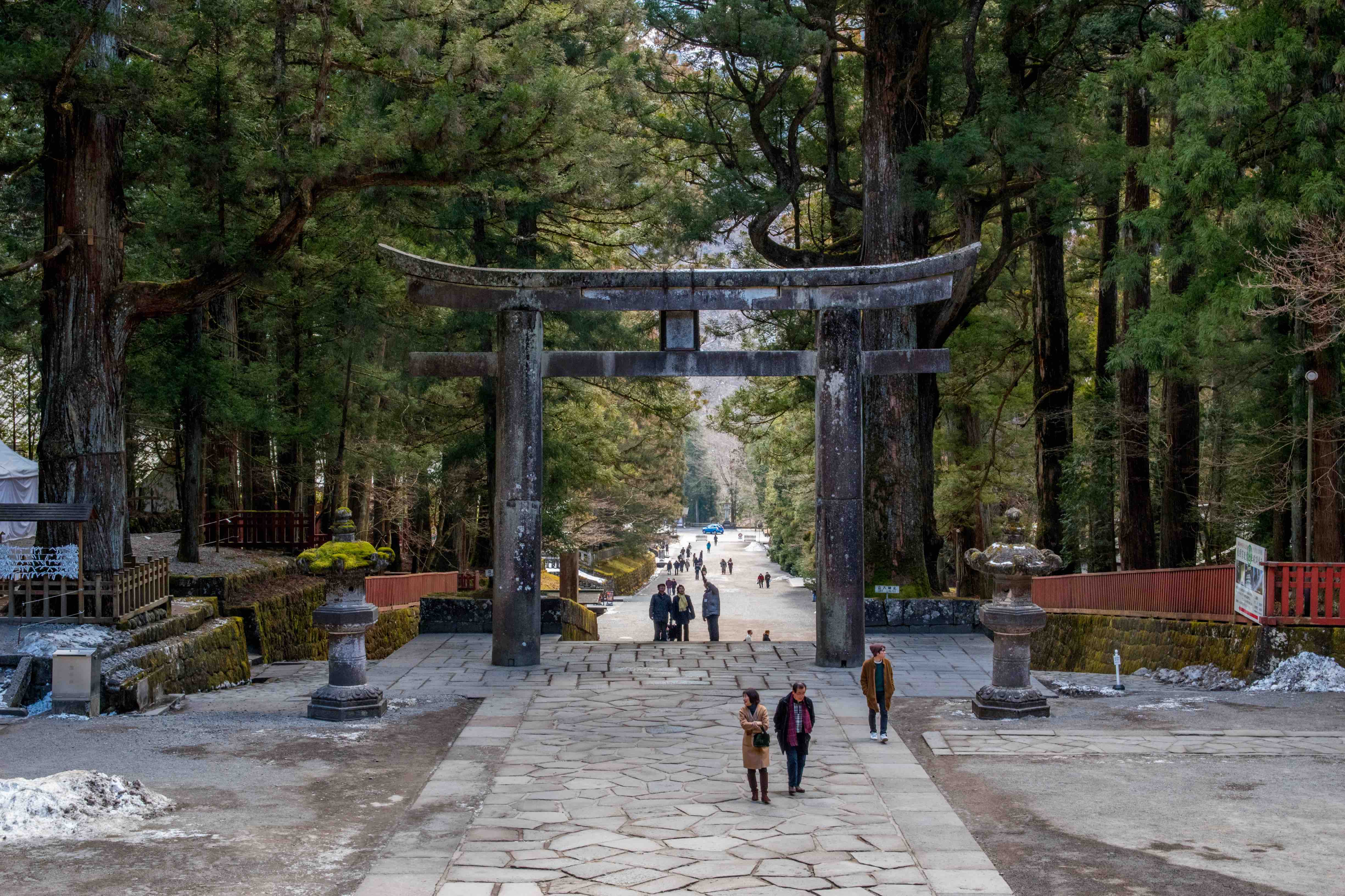 torii à l'entrée de toshogu